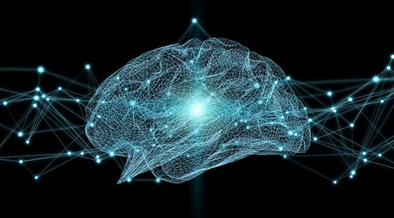 Brain Injury Relationships