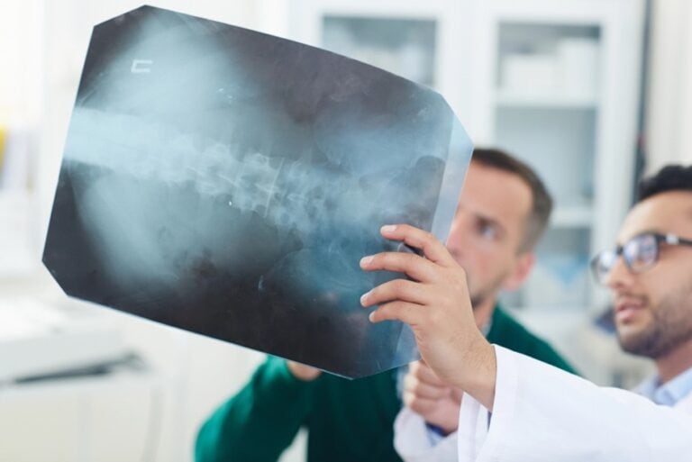 Life Redefined: Charting Your Path After Spinal Cord Injury